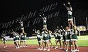 SFV_Mtwn114