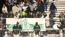 SFV_TRIT156