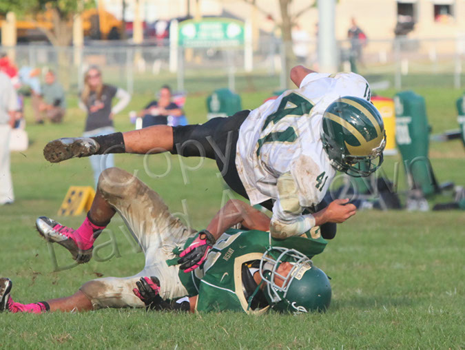 SFr_Ccath028