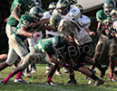 SFr_Ccath005