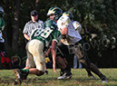 SFr_Ccath011
