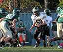 SFr_Ccath017