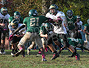 SFr_Ccath019
