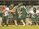 SVF_Ccath095