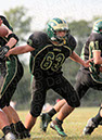 SFF_MTn047
