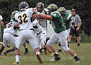 SJVF_MTn061