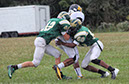 SJVF_MTn065