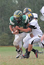 SJVF_MTn071