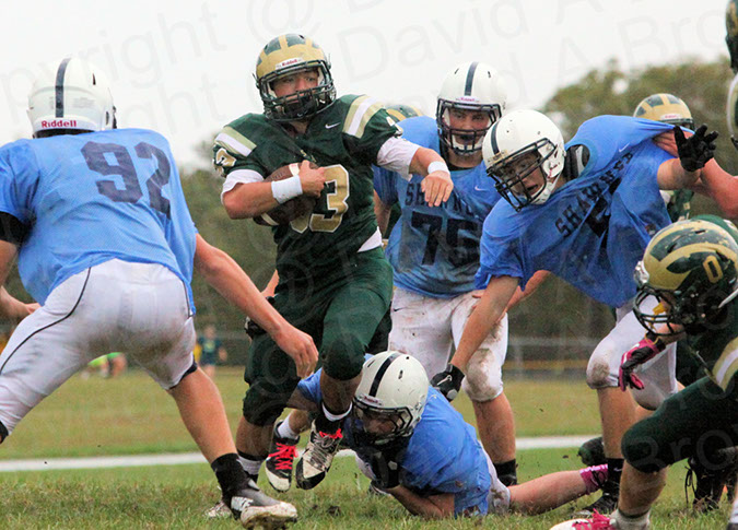 SJVF_Shaw009