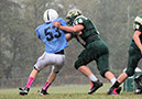 SJVF_Shaw004