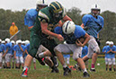 SJVF_Shaw031