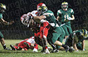 SVF_Lenape113