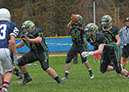 SFF_Shaw044