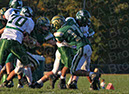 SJVF_Wslow060