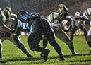 SVF_Hland029