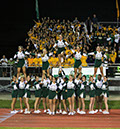 SVF_Mtown045