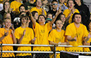 SVF_Mtown064