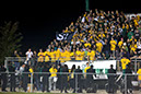 SVF_Mtown074