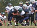 SMSF_Lacey015