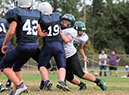 SMSF_Lacey022