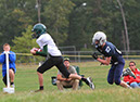 SMSF_Lacey038