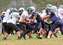 SMSF_Lacey055
