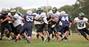 SMSF_Lacey065