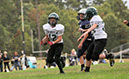 SMSF_Lacey072