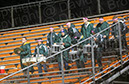 SVF_CHE010