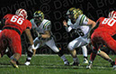 SVF_Delse015%20copy