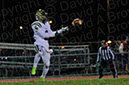 SVF_Delse017%20copy