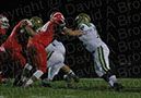 SVF_Delse018%20copy