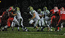 SVF_Delse019%20copy