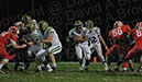 SVF_Delse020%20copy