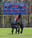SVF_Lakewood004