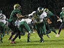 SVF_Winslow120
