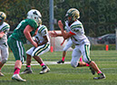 SFF_CCath_028