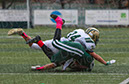 SFF_CCath_049
