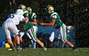 SFF_Shaw_005