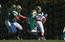 SFF_Shaw_006