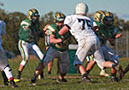 SFF_Shaw_014