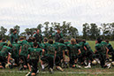 SJVF_Camden_001025