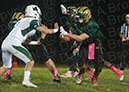 SVF_CCath_019