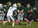 SVF_CCath_033