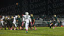 SVF_CCath_039
