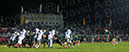 SVF_CCath_164