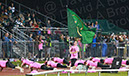 SVF_CCath_165