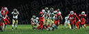 SVF_Delsea_001