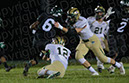 SVF_Winslow_001011