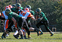 SVF_Cher049